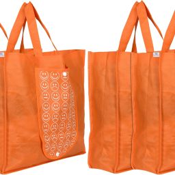 Pack of 4 Grocery Bags-image-79