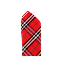 Alvaro Castagnino Men Printed Microfiber Pocket Square-image-90