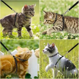Cat and Small Pet Nylon Strap Collar with Adjustable Walking Harness Leash (Black) Cat Harness & Leash-picture-11