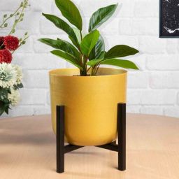 Gold Metal Mid Century Large Desk Planter Stand With 8 Inch Pot By Homesake-picture-36