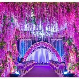 Artificial Silk Wisteria Vine For Haldi, Puja, Wedding & Festival, Event Decor Maroon Westeria Artificial Flower-13