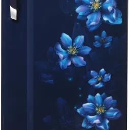 183 L Direct Cool Single Door 2 Star Refrigeratorwith Jumbo Vegetable Tray and Toughened Glass Shelves-picture-15