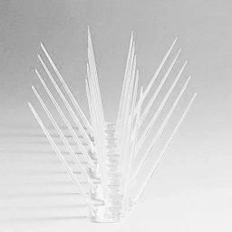 Bird Spike-35