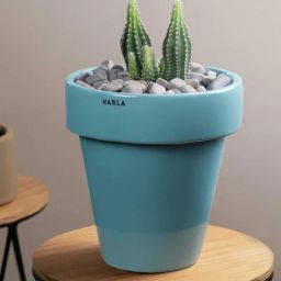 harla arts Dream Set Of 2 Aqua Green Porcelain Floor Planters-picture-34