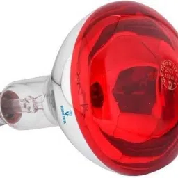 150 W Basic Standard E24 Halogen Bulb-picture-22