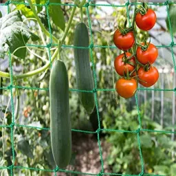 world net enterprise Plant Support Net and Gardening Netting Green Colour 5Feet x 10 Feet Hiking Net image 3