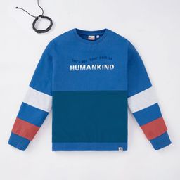 edheads Boys Blue & White Colourblocked Cotton Long Sleeves Sweatshirt-image-40
