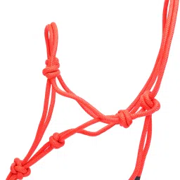 Horse Lead-image-77