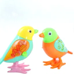 Jumping Bird Wind Up Key Operated Crawling Walking Toy for Kids BKT-023 Rattle-27