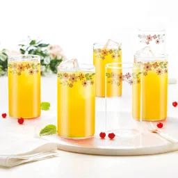 (Pack of 6) Vision Ayana 295ml 6pc Set Drinking Glass, Microwave & Dishwasher Safe Glass Set Water/Juice Glass-image-81