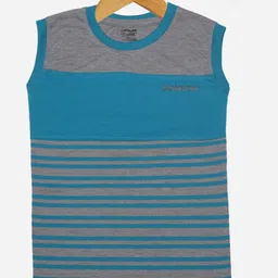 Dollar Champion Kidswear Boys Round Neck Striped T-shirt-picture-22