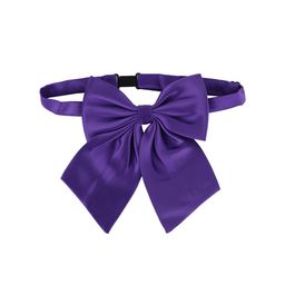 Alvaro Castagnino Men Purple Solid Bow Tie-image-29