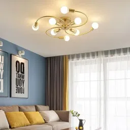 Chandelier Ceiling Lamp-25