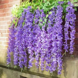 Wisteria Hanging Garland Silk Long Hanging Flower Home Party Wedding DecorPurple Purple Westeria Artificial Flower-picture-13