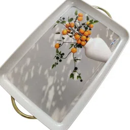 nayasa Printed Small Serving Tray Rectangular for Drink Breakfast Tray image 3