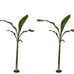 antiquity Art A Pair Of Artificial Flora Banana Stem Stand, Multicolour, Pack of 2 9 CM Shelf Bracket image 2
