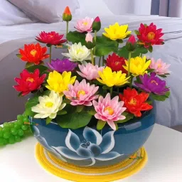 Japanese Lotus Flower Seeds | 12-Color Mix | 95% Germination Rate Seed-10