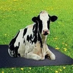 Best Quality Cow Mat Waterproof BPA Free With Raised Edges Cow, Dog, Guinea Pig, Hamster, Miniature Pig Pet Mat-82