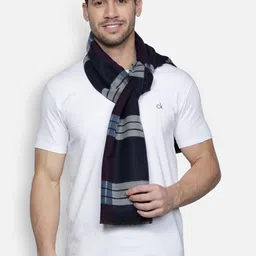Alvaro Castagnino Men Navy Blue & Grey Striped Muffler-image-79