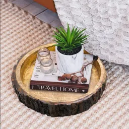 Premium Look Round Shape serving tray which adds beauty to your table Tray-18
