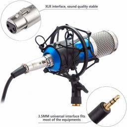 imaginea BM800 Condenser Mic with USB Sound Card for Studio Recording with Boom Stand, Shock Mount, Pop Filter & Anti-Wind Foam, Full Condenser Microphone Set for, Broadcasting & Gaming Microphone Set image 2