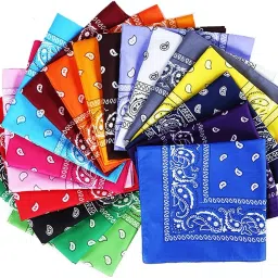 Prapti Store Cotton Bandanas Paisley Pattern Scarf Handkerchief (Combo Pack) (55cm) ["Multicolor"] Handkerchief-image-28