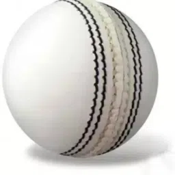 na Cricket Leather Ball-image-44