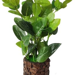 Natural Money Plant with Stylish Coconut Pot Artificial Plant with Pot-image-3