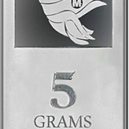 PB-5-MS S 999 5 g Silver Bar-image-68