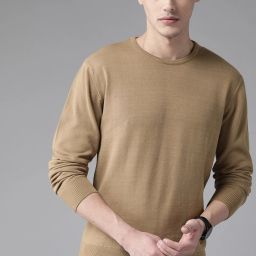 Men Solid Round Neck Beige Sweater-image-29