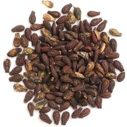 SHIVLINGI Seed-image-34