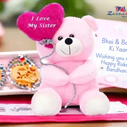 Soft push fabric teddy bear with Sister balloon and fully embroidery work 24 CM gift for birthday return gifting birthday boy baby sister lover wife girlfriend - 24 cm-image-63