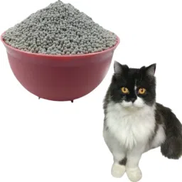 Cats Litter Tray-image-45
