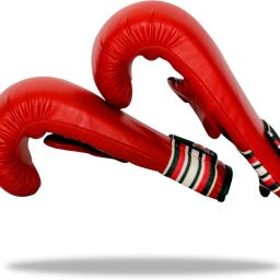 Heavy Bag ,Medium Boxing Gloves-image-16