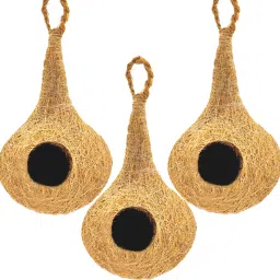 NATURAL BIRD NEST WITH HANGING HOOKS U CAN PLACE ANYWHERE PACK OF 3 Bird House-4