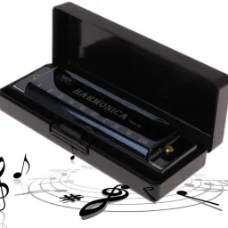 Harmonica Mouth Organ 10 Hole C Key with Case, Diatonic Harmonica-19