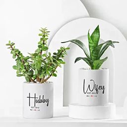 Green Beauties In Personalised Couple Special Gift Mugs-image-42