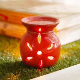 bharti traders Lemon Fragrance Aroma Oil, Diffuser Set image 2