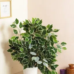Green, White Forsythia Artificial Flower-image-13