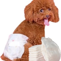 Disposable Female Dog Diapers, Ultra Protection. Waist 38.5-28cm Disposable Dog Diapers-image-83