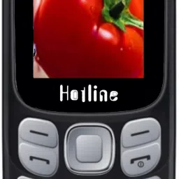 H312-picture-15