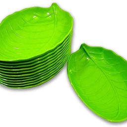 Plate Serving Set-27