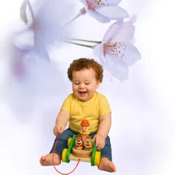 simple wooden vehicle toy for toddlers-image-57
