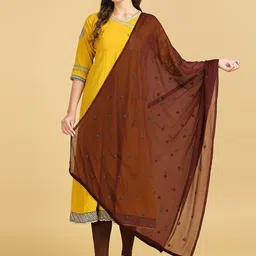 Dupatta Bazaar Floral Embroidered Chiffon Dupatta With Sequinned-18