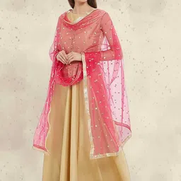 Dupatta Bazaar  Embroidered Dupatta with Sequinned image 5