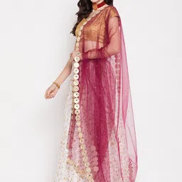 Clora Creation Polka Dots Mirror Work Embroidered Dupatta image 3