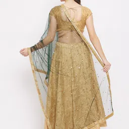 Clora Creation Green & Gold-Toned Embroidered Dupatta with Sequinned image 2