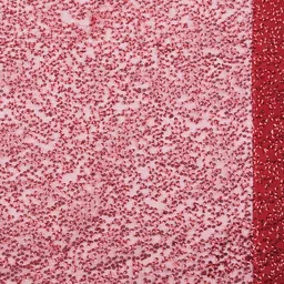 Dupatta Bazaar Embroidered Dupatta with Sequinned image 4