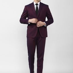 Peter England Elite Slim-Fit Single-Breasted Two-Piece Formal Suit-picture-31