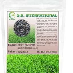 COFS 31 Multicut Fodder Grass Seeds (500 gms) Seed-picture-18